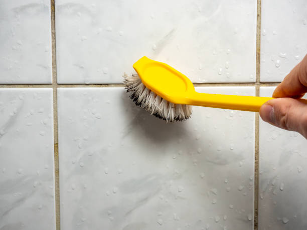 Best Professional Mold Removal  in Hayden, ID