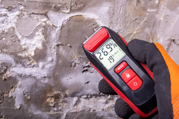 Best Affordable Mold Removal  in Hayden, ID